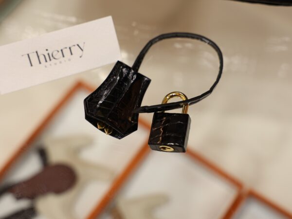 Birkin 25 Shiny Alligator Black GHW