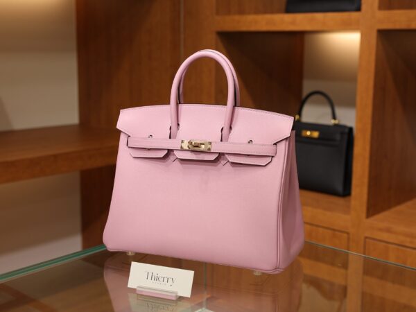 Birkin 25 Swift Mauve Sylvestre RGHW