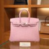 Birkin 25 Swift Mauve Sylvestre RGHW