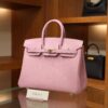 Birkin 25 Swift Mauve Sylvestre RGHW