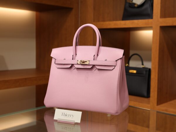Birkin 25 Swift Mauve Sylvestre RGHW