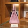 Birkin 25 Swift Mauve Sylvestre RGHW
