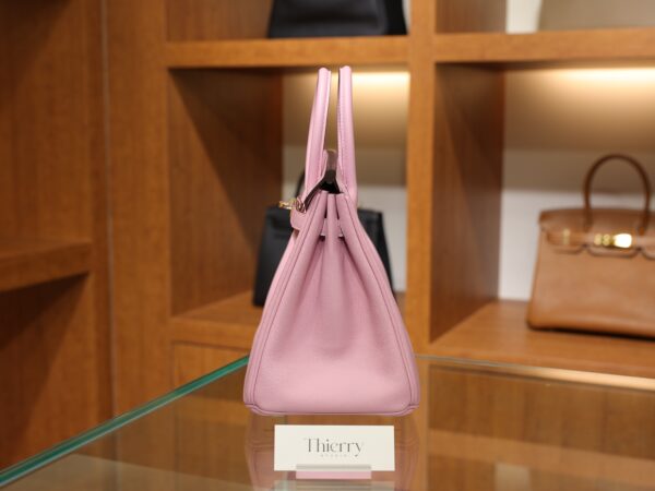 Birkin 25 Swift Mauve Sylvestre RGHW