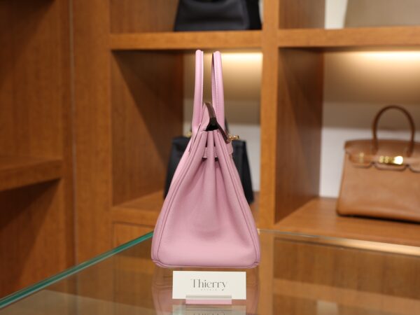 Birkin 25 Swift Mauve Sylvestre RGHW