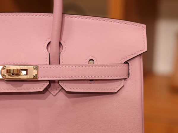 Birkin 25 Swift Mauve Sylvestre RGHW