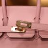 Birkin 25 Swift Mauve Sylvestre RGHW