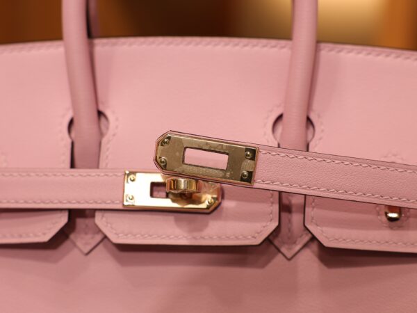 Birkin 25 Swift Mauve Sylvestre RGHW