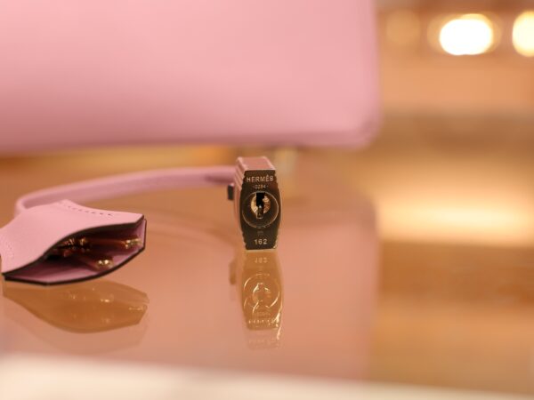 Birkin 25 Swift Mauve Sylvestre RGHW