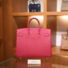 Birkin 25 Epsom Retourne Rose Tyrien PHW