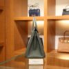 Birkin 25 Epsom Retourne Vert Amande GHW