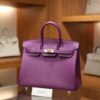 Birkin 25 Epsom Retourne Anemone GHW