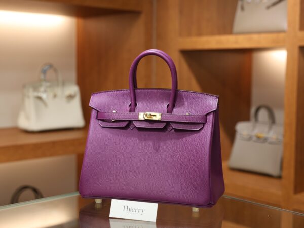 버킨 25 앱송 르투르네 아네모네 금장 001_139A3257 Birkin 25 Epsom Retourne Anemone GHW