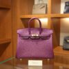 Birkin 25 Epsom Retourne Anemone GHW