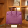 Birkin 25 Epsom Retourne Anemone GHW