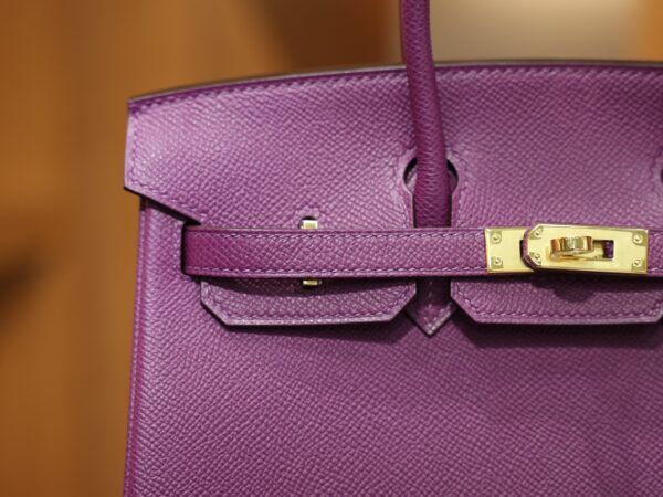 Birkin 25 Epsom Retourne Anemone GHW