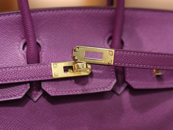 Birkin 25 Epsom Retourne Anemone GHW