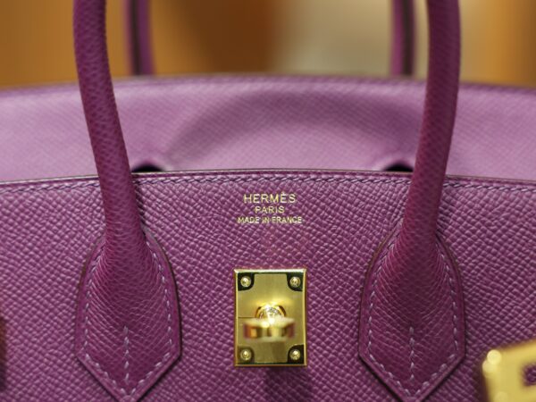 Birkin 25 Epsom Retourne Anemone GHW
