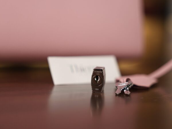 Birkin 25 Epsom Sellier Rose Sakura PHW