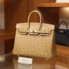 Birkin 25 Ostrich Chai GHW