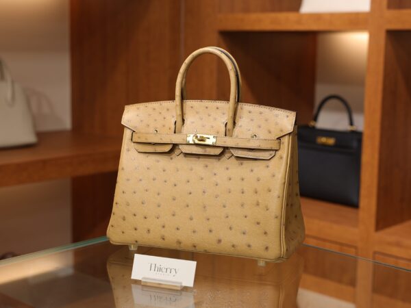 버킨 25 오스트리치 차이 금장 001_139A6490_9c39313d-2a86-4f15-9c50-3343c88c0dae Birkin 25 Ostrich Chai GHW