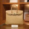 Birkin 25 Ostrich Chai GHW