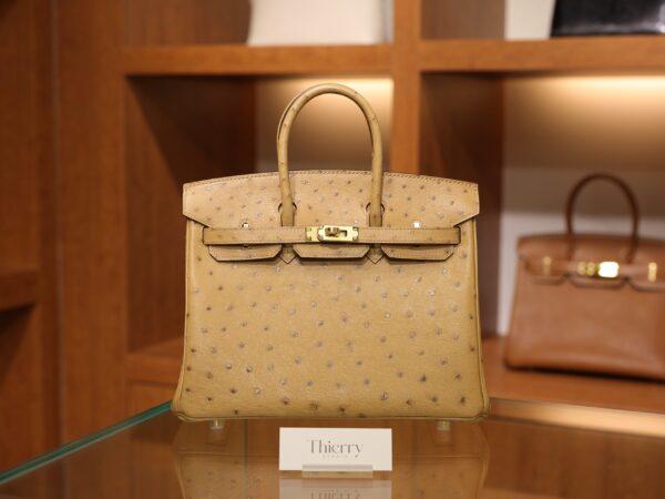 Birkin 25 Ostrich Chai GHW