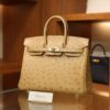 Birkin 25 Ostrich Chai GHW