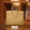 Birkin 25 Ostrich Chai GHW