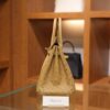 Birkin 25 Ostrich Chai GHW