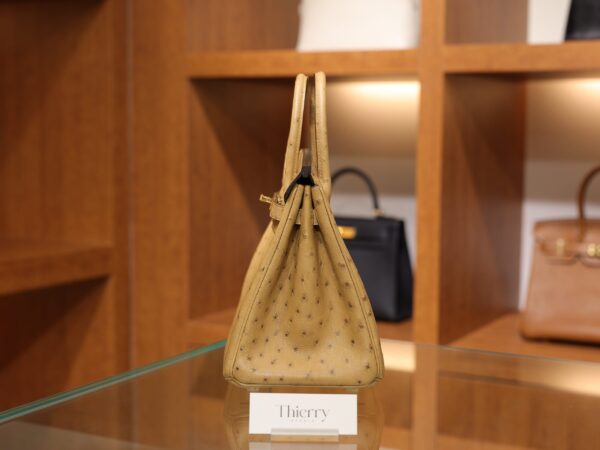 Birkin 25 Ostrich Chai GHW