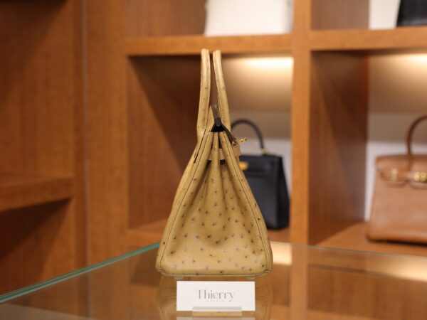 Birkin 25 Ostrich Chai GHW