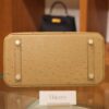Birkin 25 Ostrich Chai GHW