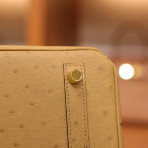 Birkin 25 Ostrich Chai GHW