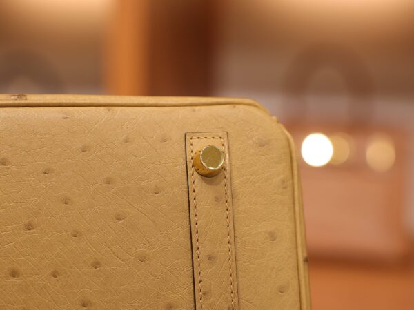 Birkin 25 Ostrich Chai GHW