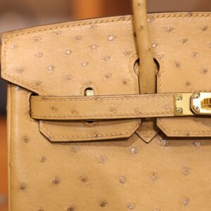 Birkin 25 Ostrich Chai GHW