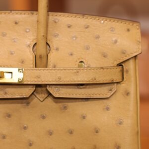 Birkin 25 Ostrich Chai GHW