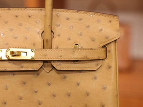 Birkin 25 Ostrich Chai GHW