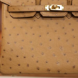 Birkin 25 Ostrich Chai GHW