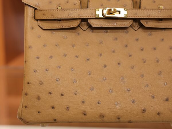 Birkin 25 Ostrich Chai GHW
