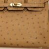 Birkin 25 Ostrich Chai GHW