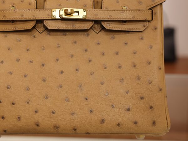 Birkin 25 Ostrich Chai GHW