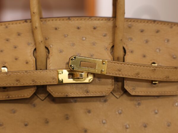 Birkin 25 Ostrich Chai GHW