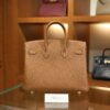 Birkin 25 Togo Gold GHW