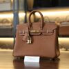 Birkin 25 Togo Gold GHW