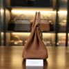 Birkin 25 Togo Gold GHW