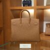 Birkin 25 Togo Gold PHW