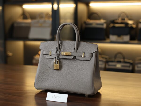 Birkin 25 Togo Gris Asphalte GHW
