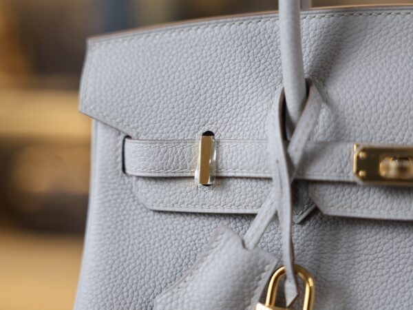 Birkin 25 Togo Gris Perle GHW