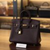 Birkin 25 Togo Rouge Sellier GHW