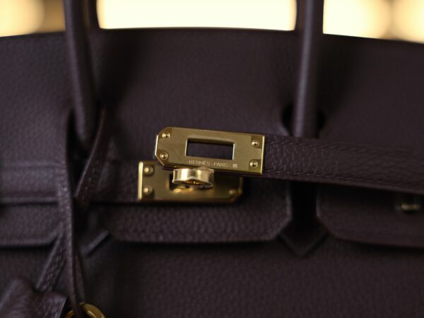 Birkin 25 Togo Rouge Sellier GHW